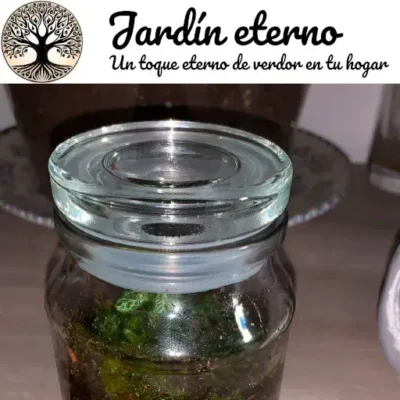 Muestra imagen mini jardín eterno